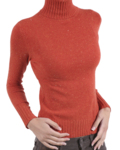 Fitted Turtleneck